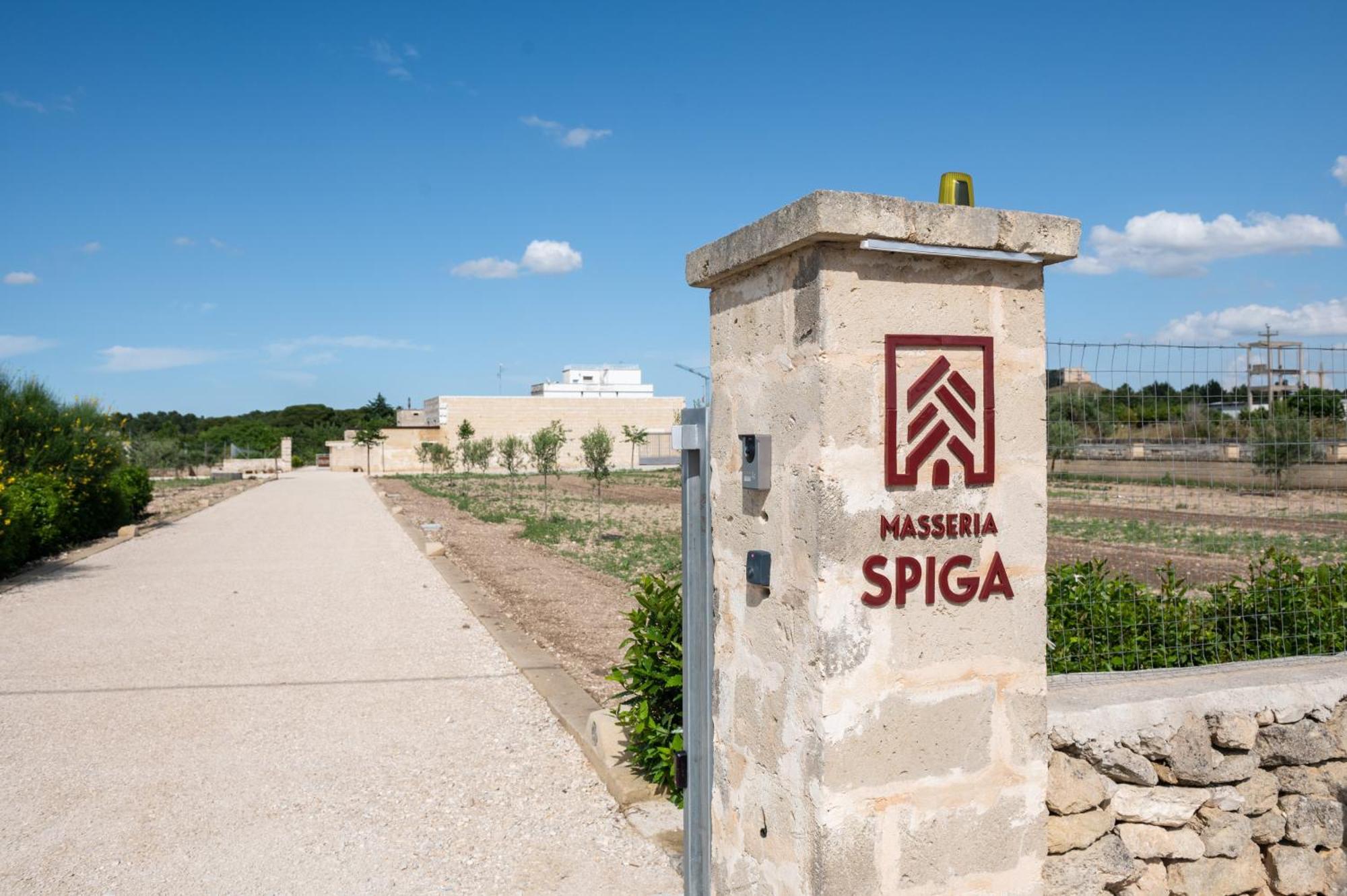 Masseria Spiga Gravina in Puglia Ngoại thất bức ảnh