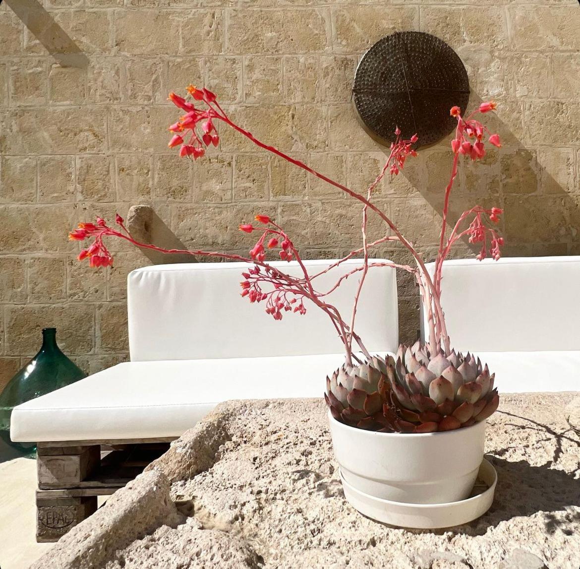 Masseria Spiga Gravina in Puglia Ngoại thất bức ảnh