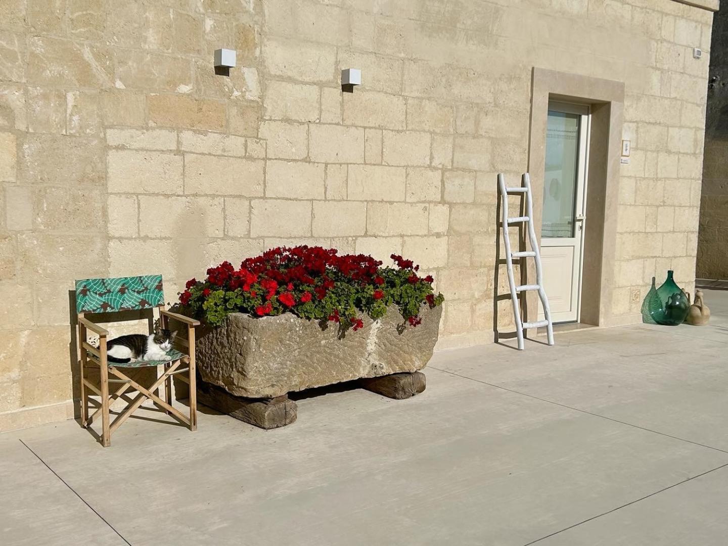 Masseria Spiga Gravina in Puglia Ngoại thất bức ảnh
