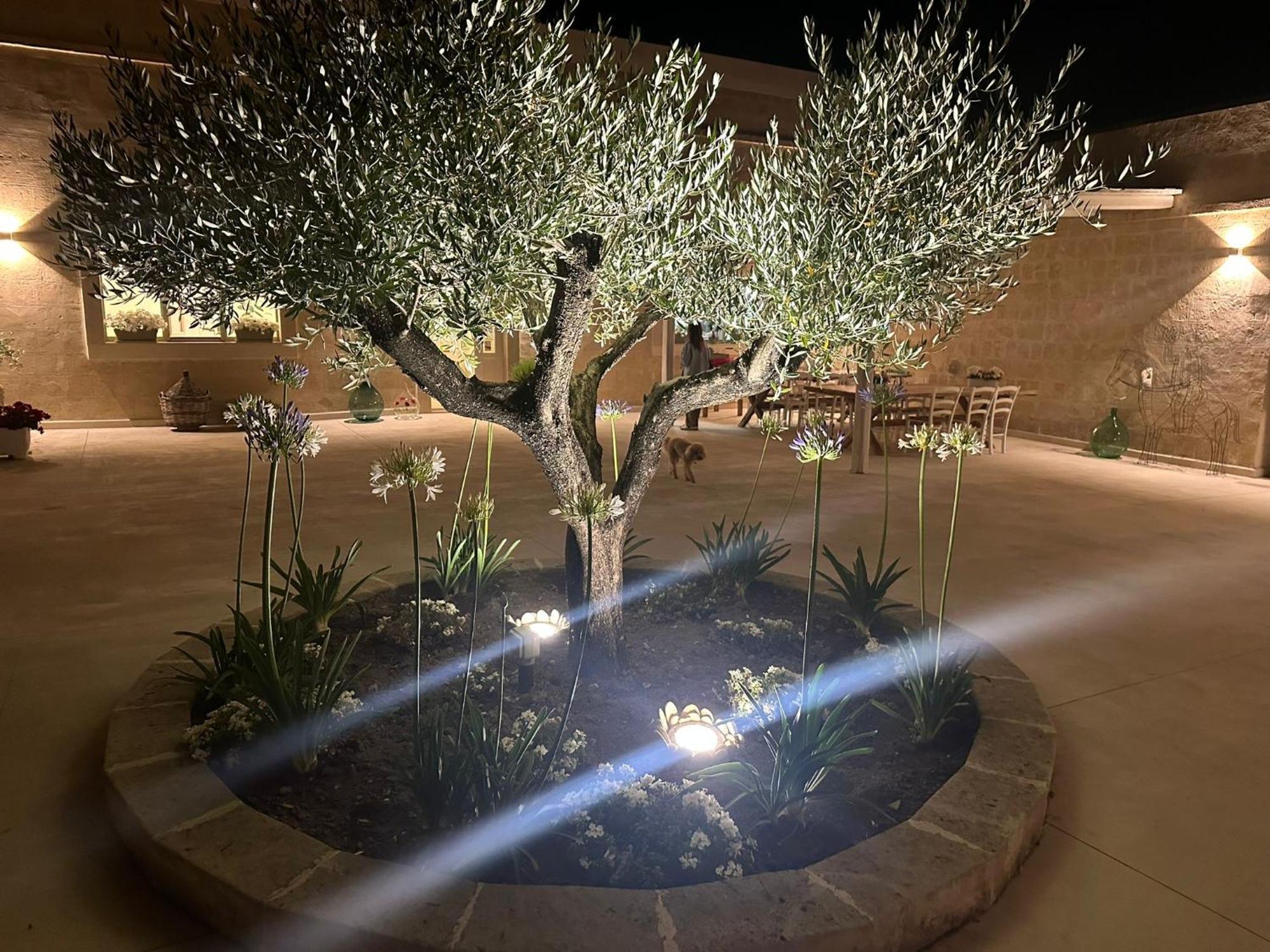 Masseria Spiga Gravina in Puglia Ngoại thất bức ảnh